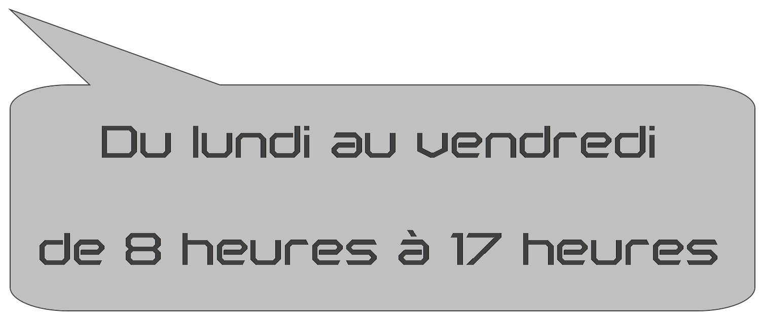 Du lundi au vendredi, de 8 heures à 17 heures.